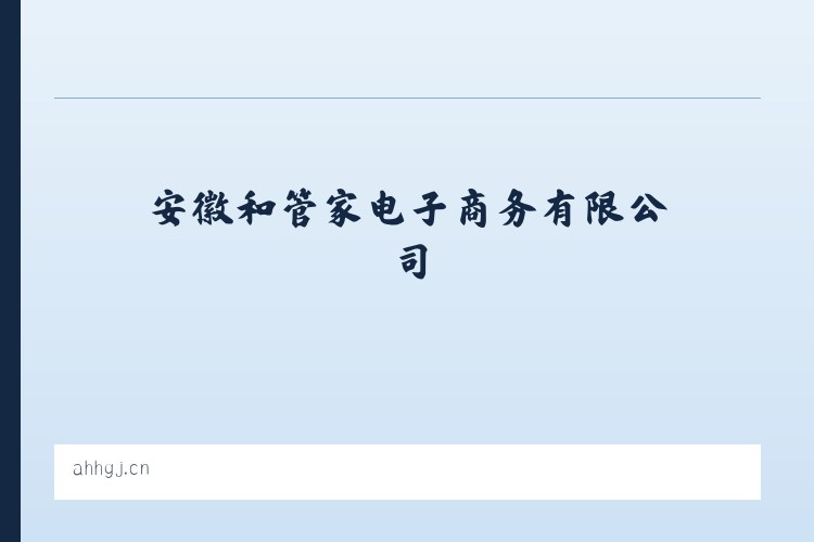 安徽和管家电子商务有限公司 列表图
